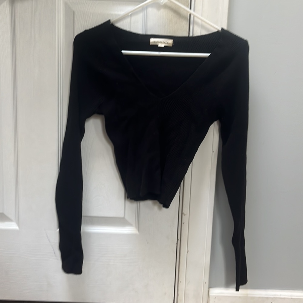 Pacsun cropped long sleeve